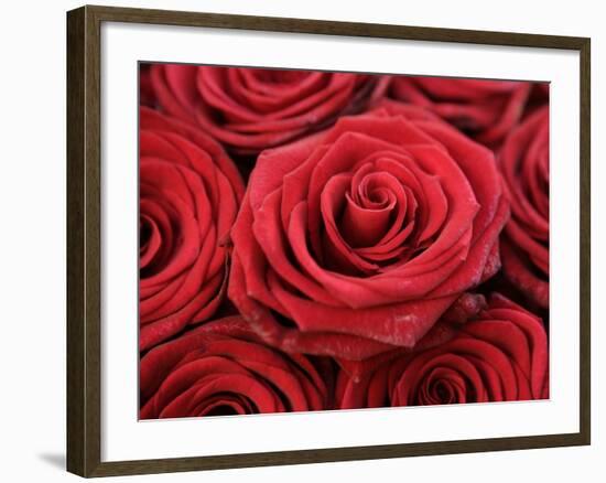 Bouquet of Red Roses-Owen Franken-Framed Photographic Print