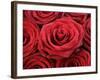 Bouquet of Red Roses-Owen Franken-Framed Photographic Print