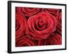 Bouquet of Red Roses-Owen Franken-Framed Photographic Print