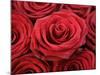 Bouquet of Red Roses-Owen Franken-Mounted Photographic Print