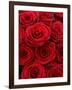 Bouquet of Red Roses-Owen Franken-Framed Photographic Print