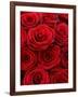 Bouquet of Red Roses-Owen Franken-Framed Photographic Print