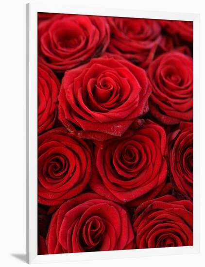 Bouquet of Red Roses-Owen Franken-Framed Photographic Print