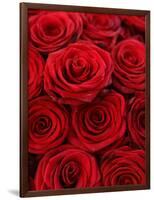 Bouquet of Red Roses-Owen Franken-Framed Photographic Print