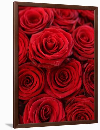 Bouquet of Red Roses-Owen Franken-Framed Photographic Print