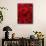 Bouquet of Red Roses-Owen Franken-Mounted Photographic Print displayed on a wall