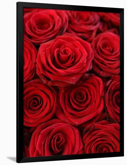 Bouquet of Red Roses-Owen Franken-Framed Photographic Print