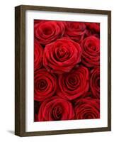 Bouquet of Red Roses-Owen Franken-Framed Photographic Print