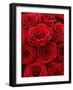 Bouquet of Red Roses-Owen Franken-Framed Photographic Print