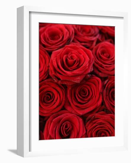 Bouquet of Red Roses-Owen Franken-Framed Photographic Print