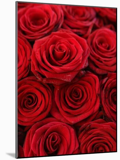 Bouquet of Red Roses-Owen Franken-Mounted Photographic Print