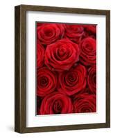 Bouquet of Red Roses-Owen Franken-Framed Photographic Print