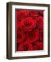 Bouquet of Red Roses-Owen Franken-Framed Photographic Print