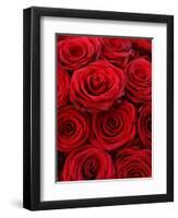 Bouquet of Red Roses-Owen Franken-Framed Photographic Print