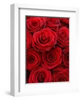 Bouquet of Red Roses-Owen Franken-Framed Photographic Print