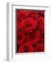 Bouquet of Red Roses-Owen Franken-Framed Photographic Print