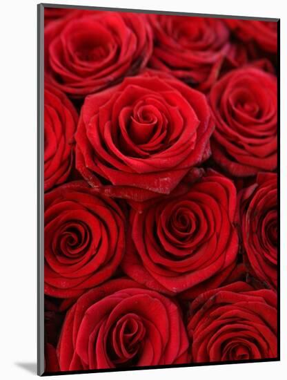 Bouquet of Red Roses-Owen Franken-Mounted Photographic Print