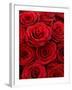 Bouquet of Red Roses-Owen Franken-Framed Photographic Print