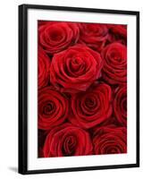 Bouquet of Red Roses-Owen Franken-Framed Photographic Print