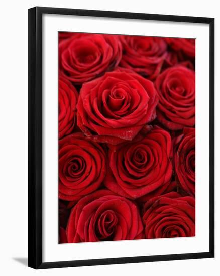 Bouquet of Red Roses-Owen Franken-Framed Photographic Print