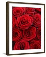 Bouquet of Red Roses-Owen Franken-Framed Photographic Print