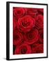 Bouquet of Red Roses-Owen Franken-Framed Photographic Print