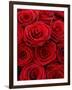 Bouquet of Red Roses-Owen Franken-Framed Photographic Print