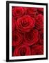 Bouquet of Red Roses-Owen Franken-Framed Photographic Print