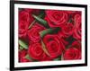 Bouquet of Red Roses-Clive Nichols-Framed Photographic Print