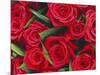 Bouquet of Red Roses-Clive Nichols-Mounted Photographic Print