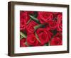 Bouquet of Red Roses-Clive Nichols-Framed Photographic Print