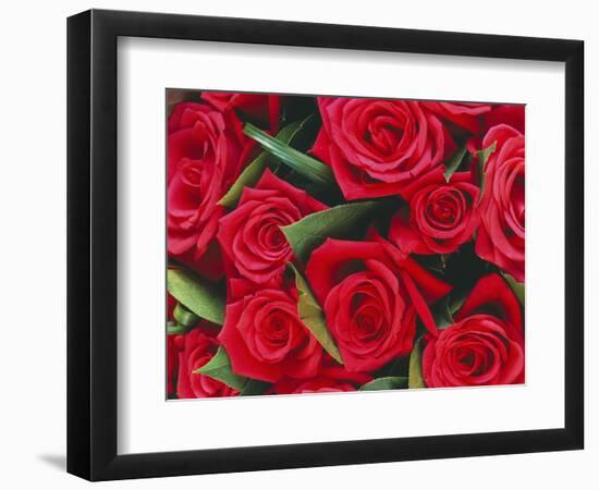 Bouquet of Red Roses-Clive Nichols-Framed Photographic Print