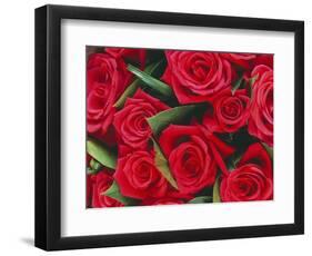 Bouquet of Red Roses-Clive Nichols-Framed Photographic Print