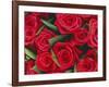 Bouquet of Red Roses-Clive Nichols-Framed Photographic Print