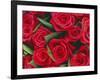 Bouquet of Red Roses-Clive Nichols-Framed Photographic Print