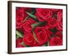 Bouquet of Red Roses-Clive Nichols-Framed Photographic Print