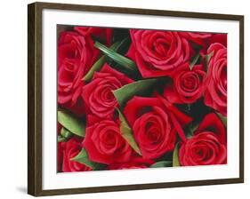 Bouquet of Red Roses-Clive Nichols-Framed Photographic Print