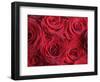 Bouquet of Red Roses-Clive Nichols-Framed Photographic Print