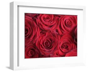 Bouquet of Red Roses-Clive Nichols-Framed Photographic Print