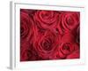 Bouquet of Red Roses-Clive Nichols-Framed Photographic Print