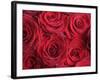 Bouquet of Red Roses-Clive Nichols-Framed Photographic Print