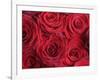 Bouquet of Red Roses-Clive Nichols-Framed Photographic Print