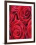 Bouquet of Red Roses-Clive Nichols-Framed Photographic Print