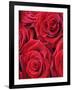 Bouquet of Red Roses-Clive Nichols-Framed Photographic Print