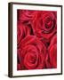 Bouquet of Red Roses-Clive Nichols-Framed Photographic Print