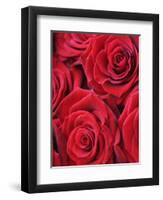 Bouquet of Red Roses-Clive Nichols-Framed Photographic Print