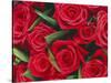 Bouquet of Red Roses-Clive Nichols-Stretched Canvas