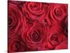 Bouquet of Red Roses-Clive Nichols-Stretched Canvas