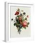 Bouquet of Rose and Lily of the Valley by Jean Louis Prevost-Fine Art Photographic-Framed Photographic Print