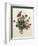 Bouquet of Rose and Lily of the Valley-Jean Louis Prevost-Framed Giclee Print